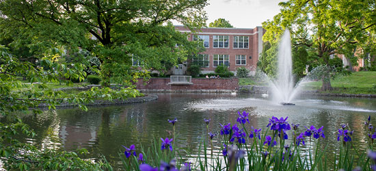 The pond at Millersville University