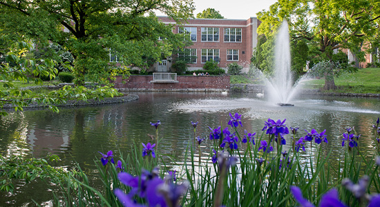 College Assistance Migrant Program (CAMP)