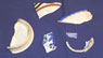 2005 Excavations - Ceramic Assemblage