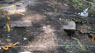 Possible tyere location