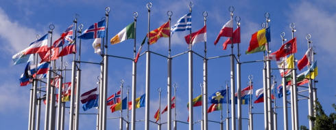 International Studies