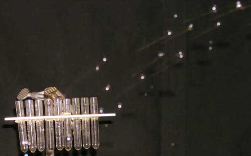 collection collection