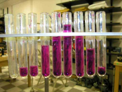 distribution distribution