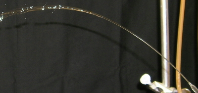 Trajectory Trajectory