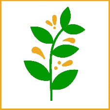 sustainability committee