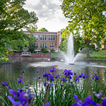 landscape and grounds