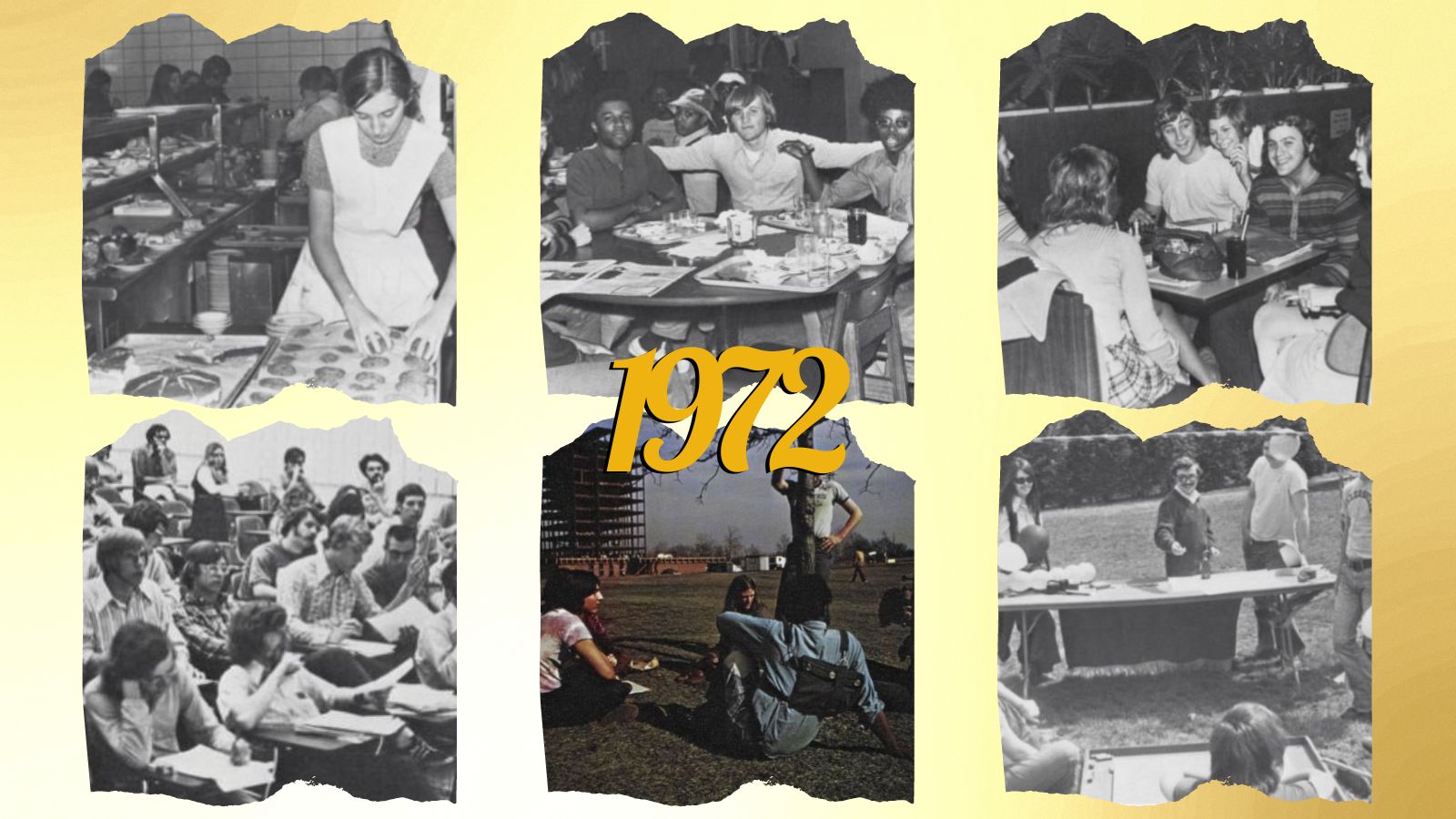 1972-website-collage.png