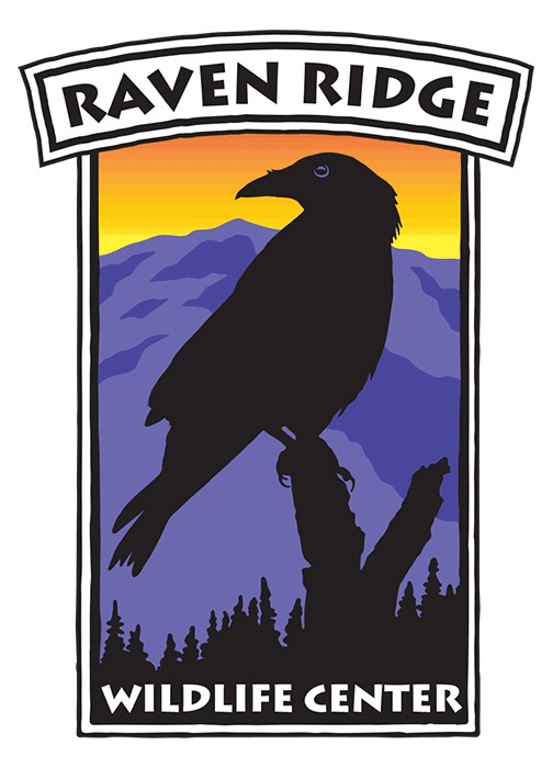 Raven Ridge Logo
