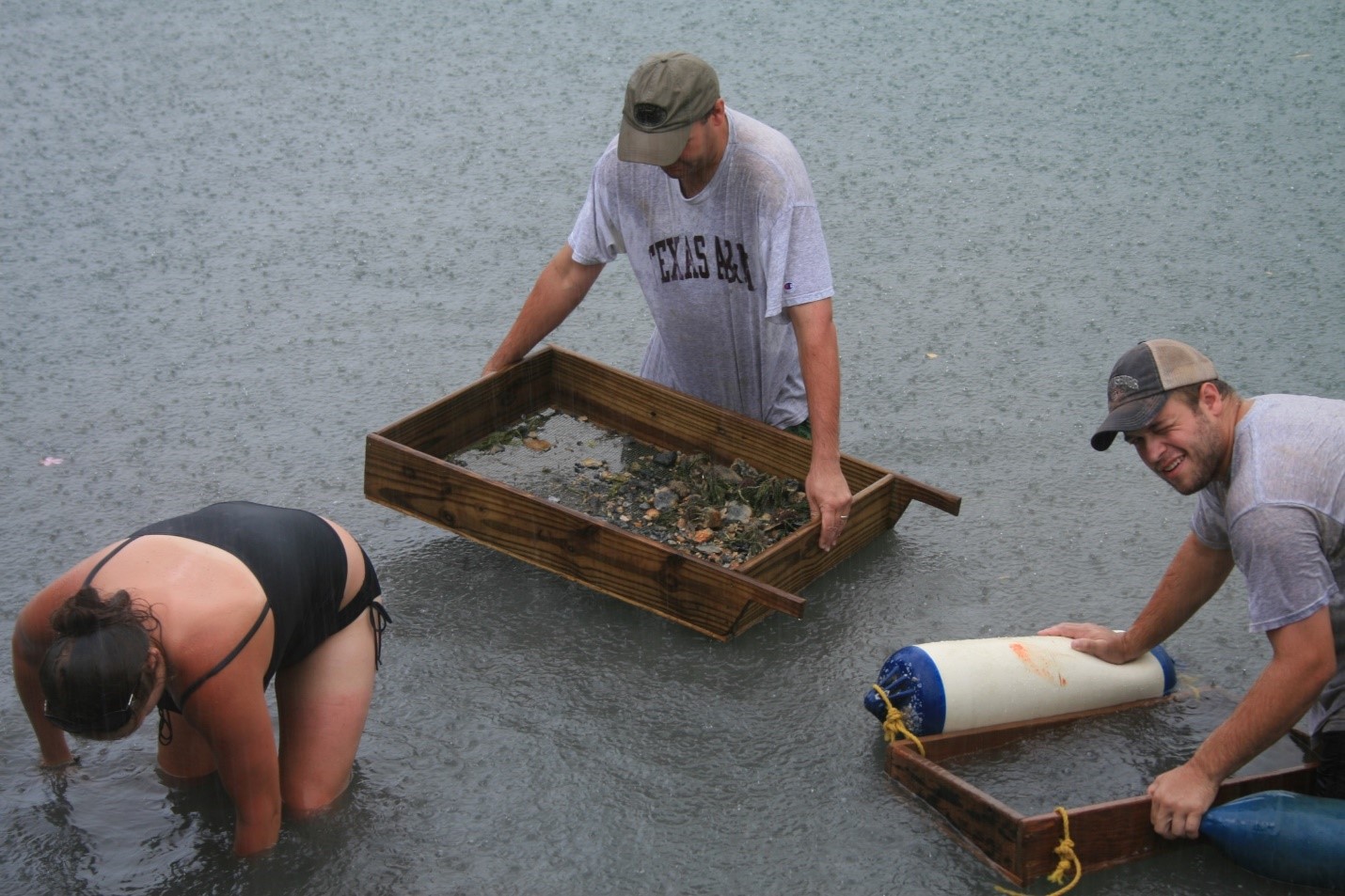 sifting for artifacts in bay