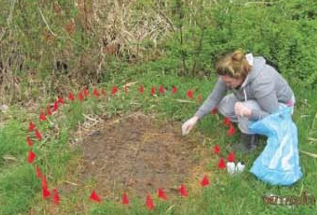 Teah Soil Testing