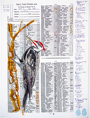 Yvonne Love and Deirdre Murphy, Pileated, 2025, mixed media on paper, 24 x 18 inches