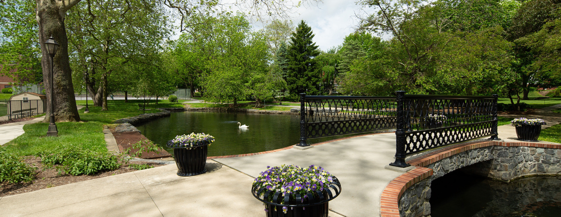 Campus pond