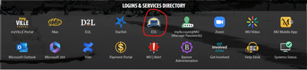 logins and system icons