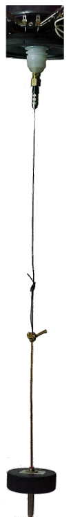 pendulum pendulum