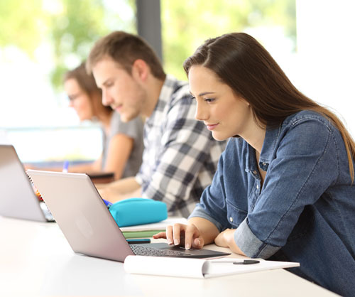 Female student sitting at a computer