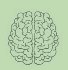 A image of an outline of a brain with a background color of light, sage green