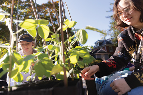 students looking at plants