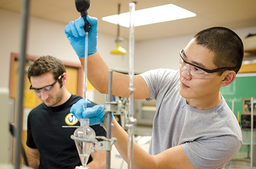 Students performing lab expirement