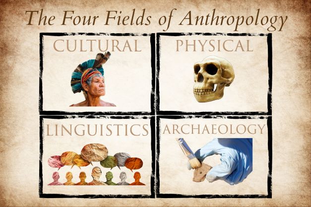 four fields of anthropology
