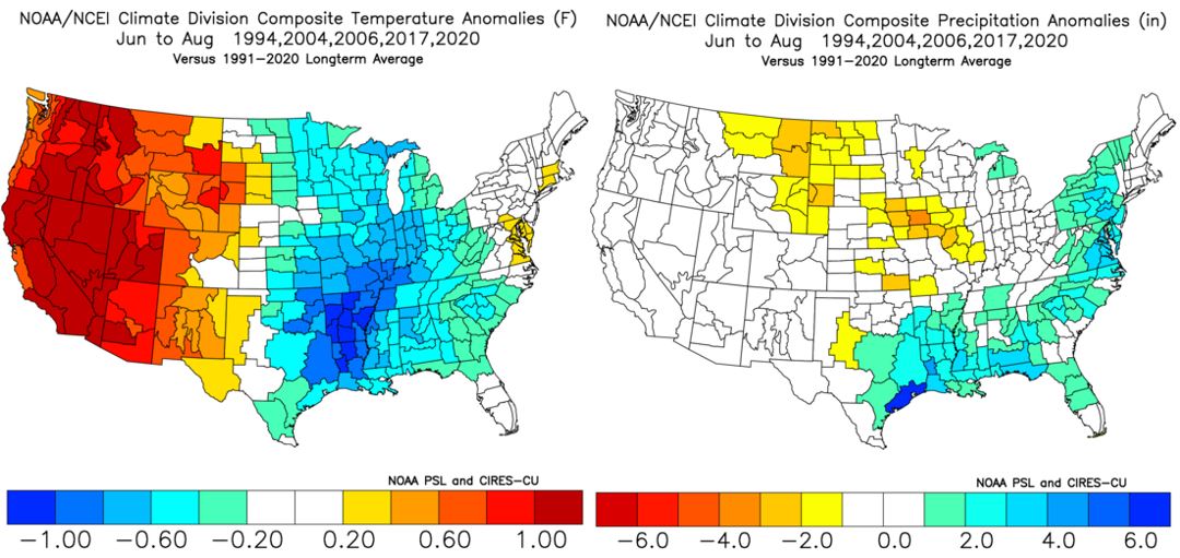 2025 Summer Analogs